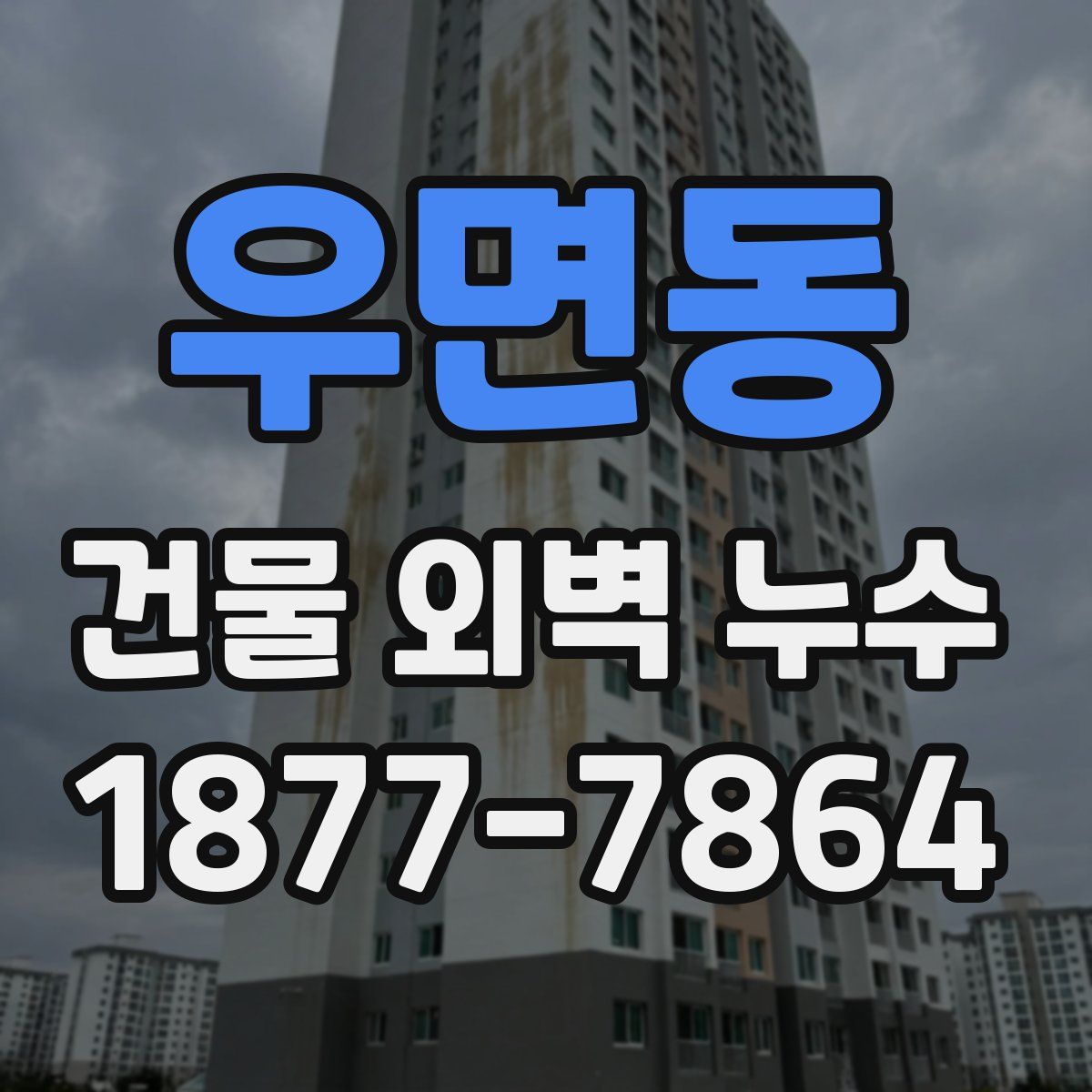 우면동 건물 외벽 누수