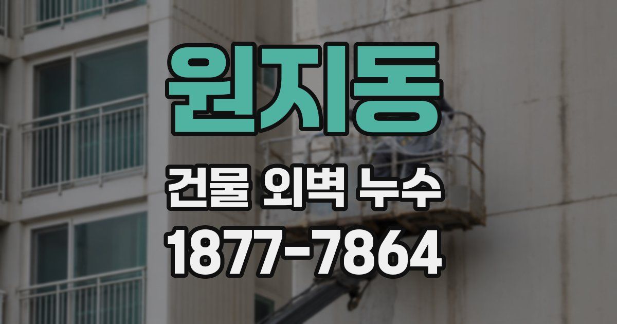 원지동 건물 외벽 누수