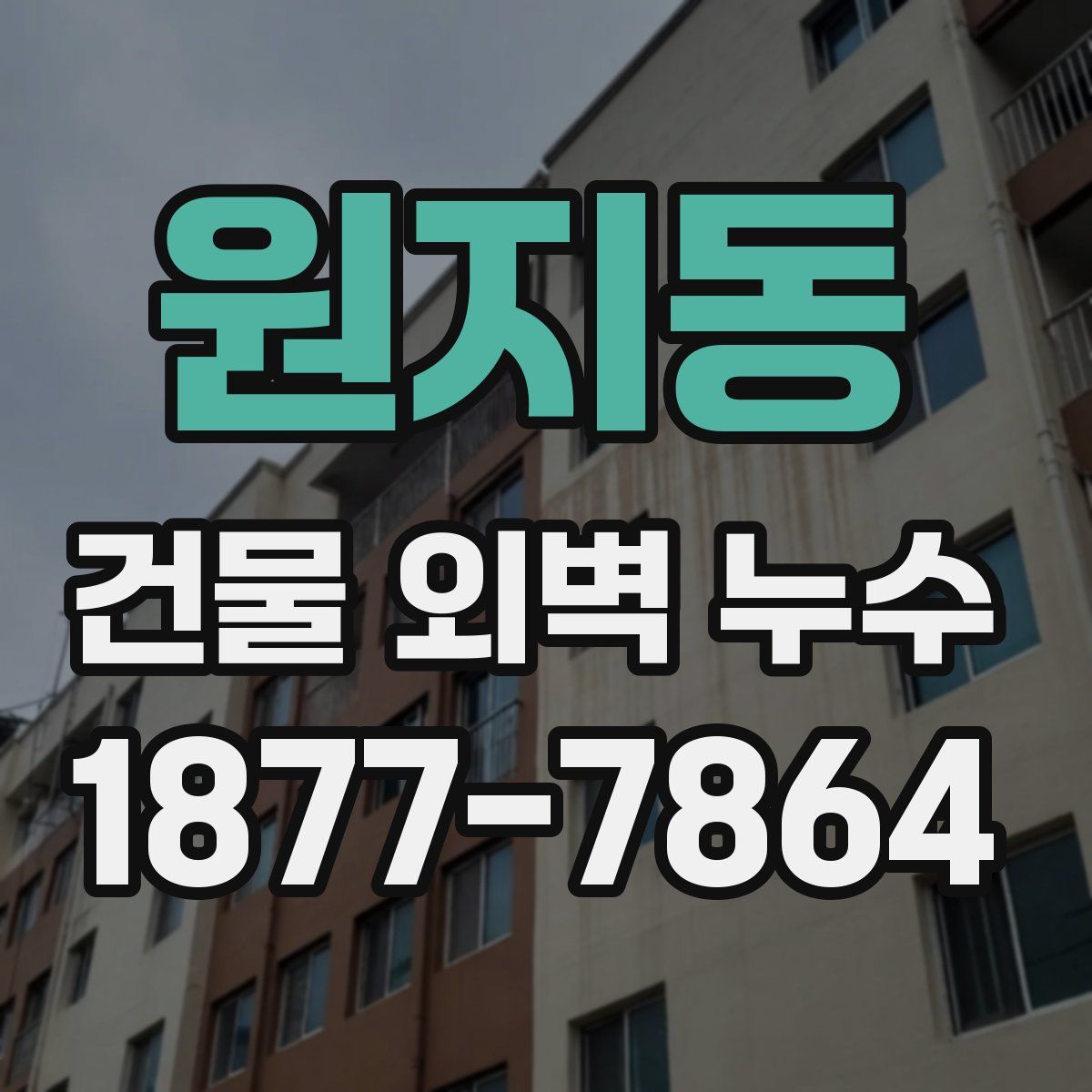 원지동 건물 외벽 누수