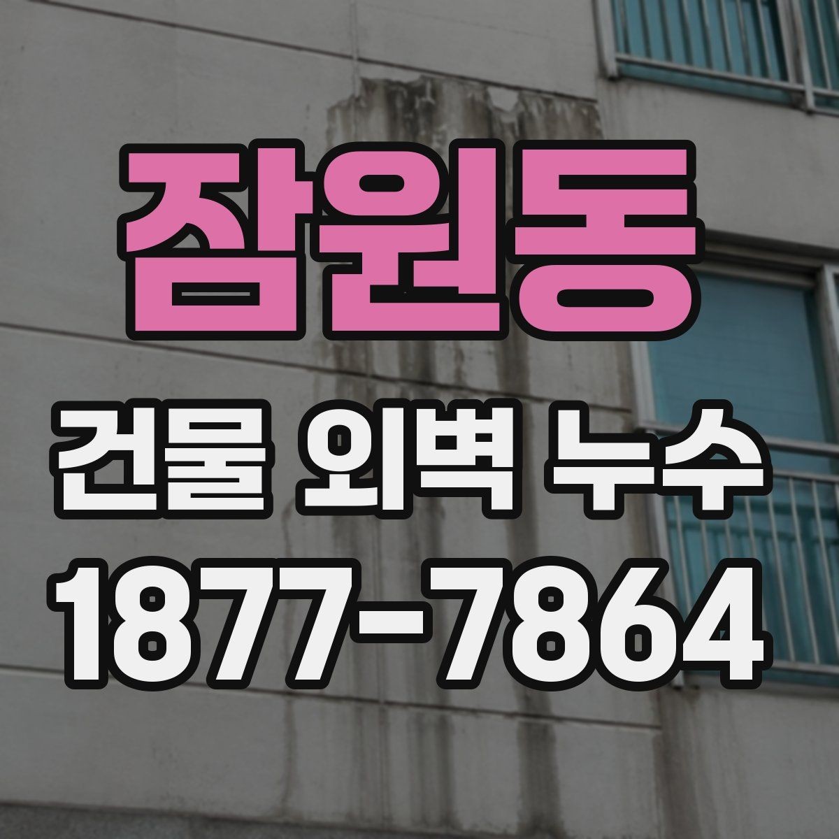 잠원동 건물 외벽 누수 원인 찾는 현장 점검 팁