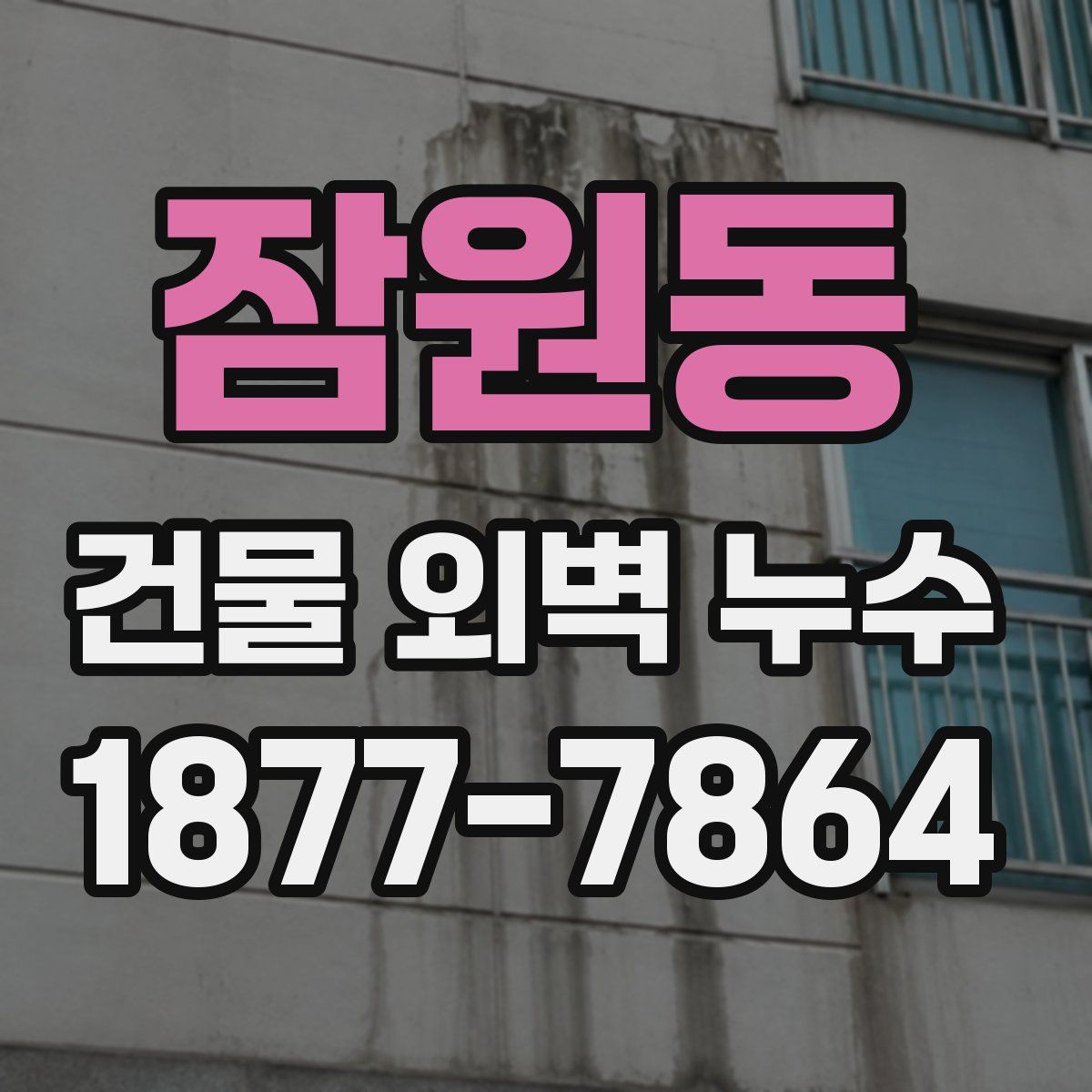 잠원동 건물 외벽 누수