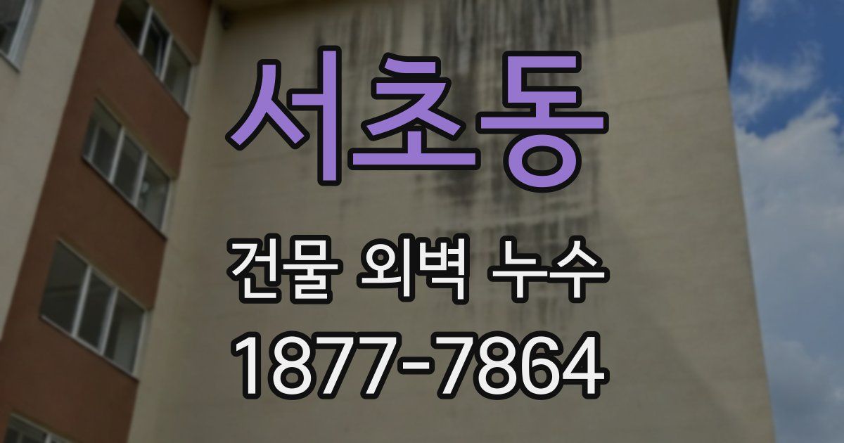 서초동 건물 외벽 누수