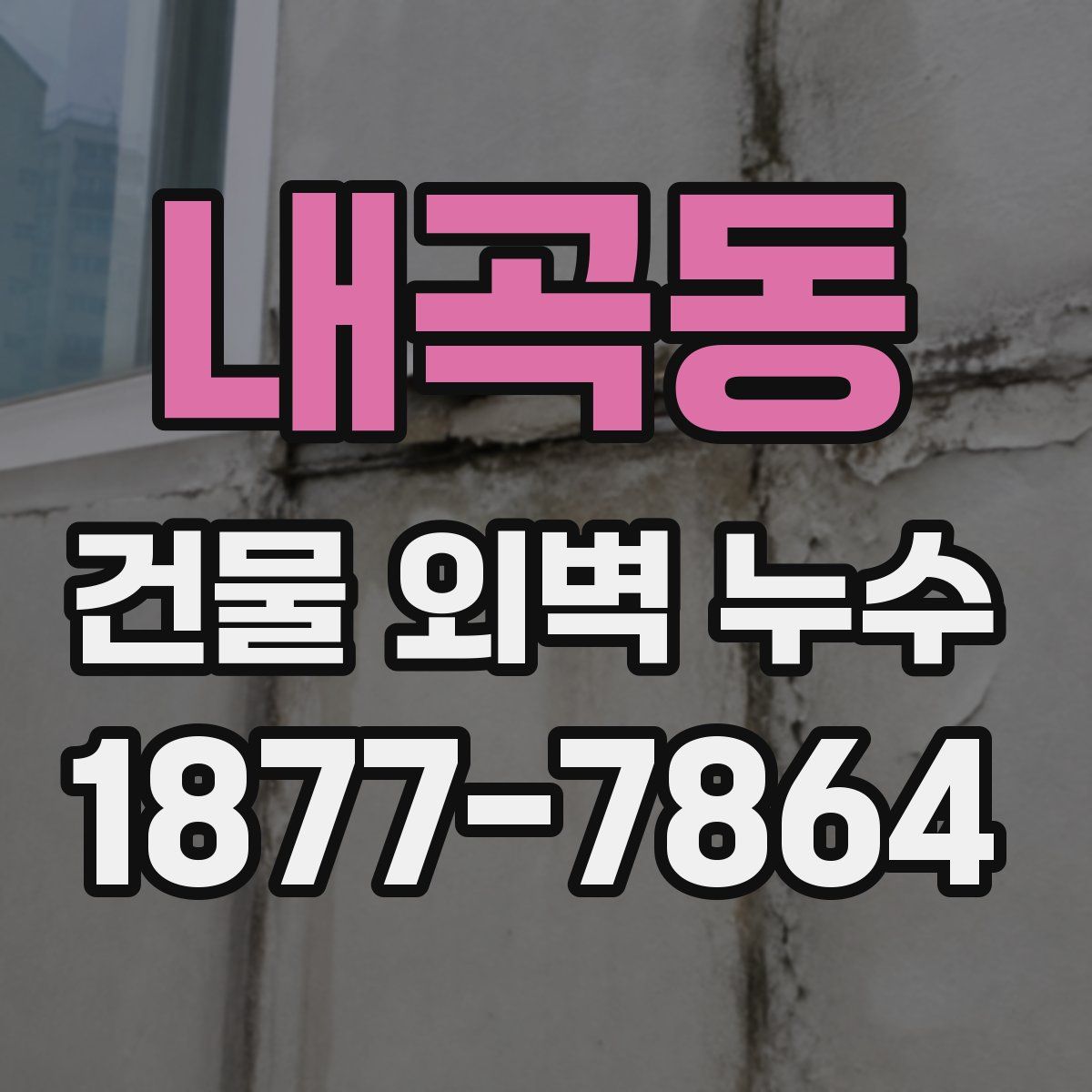 내곡동 건물 외벽 누수