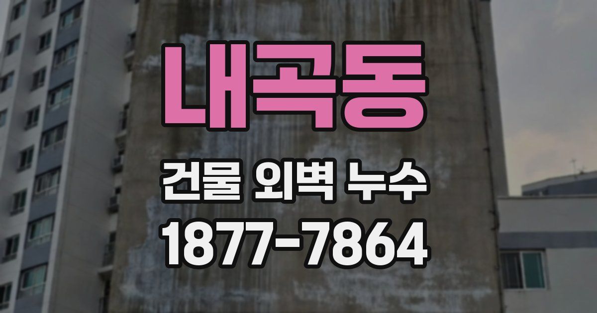 내곡동 건물 외벽 누수