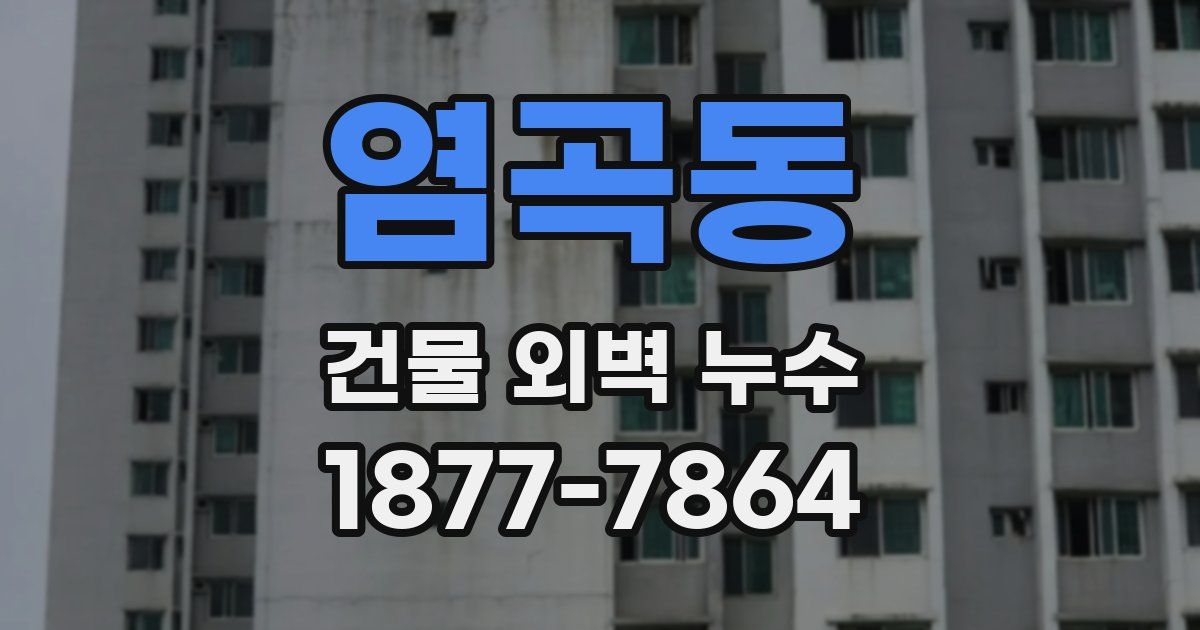 염곡동 건물 외벽 누수