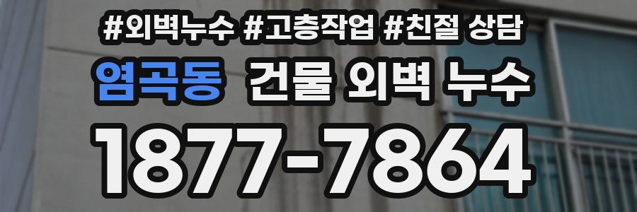 염곡동 건물 외벽 누수