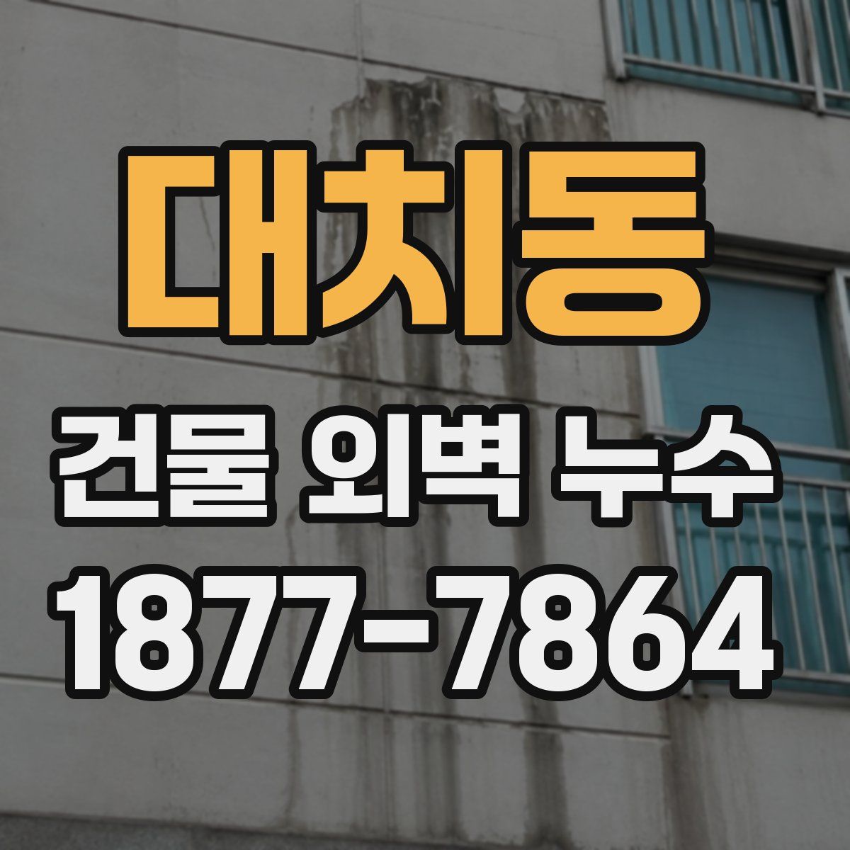 대치동 건물 외벽 누수