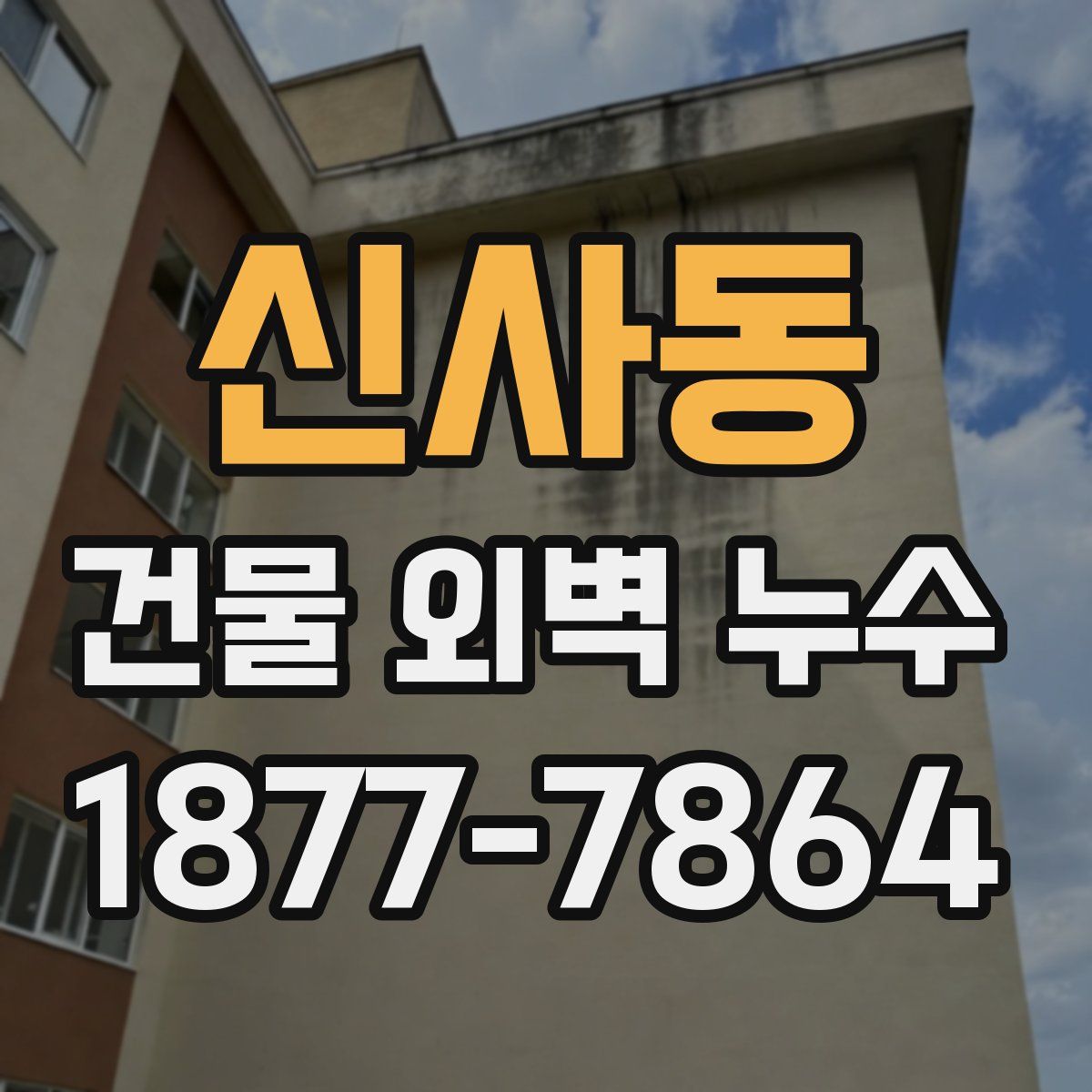 신사동 건물 외벽 누수