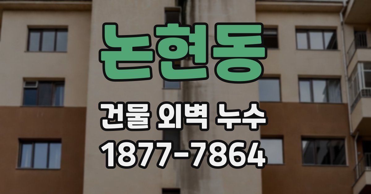 논현동 건물 외벽 누수