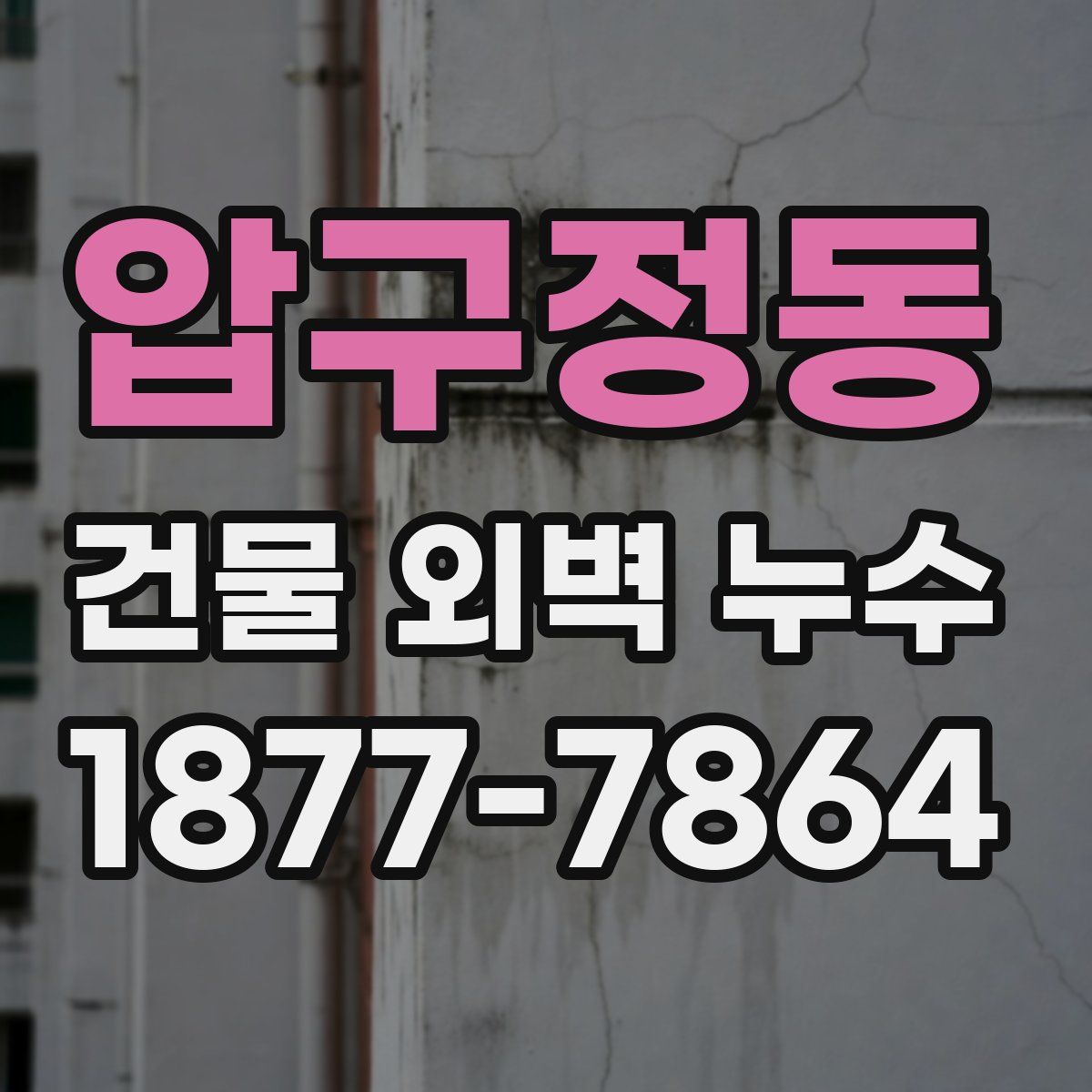 압구정동 건물 외벽 누수