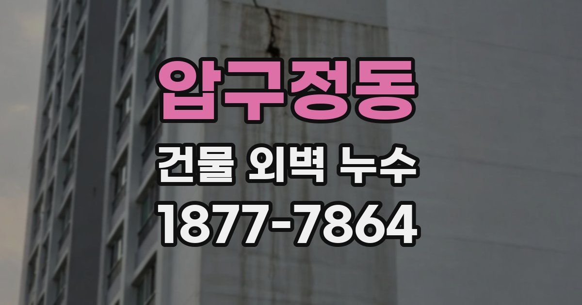 압구정동 건물 외벽 누수