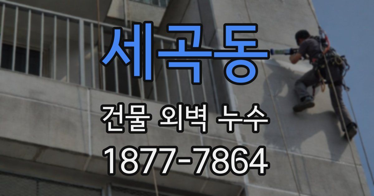세곡동 건물 외벽 누수
