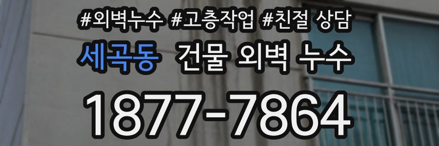 세곡동 건물 외벽 누수