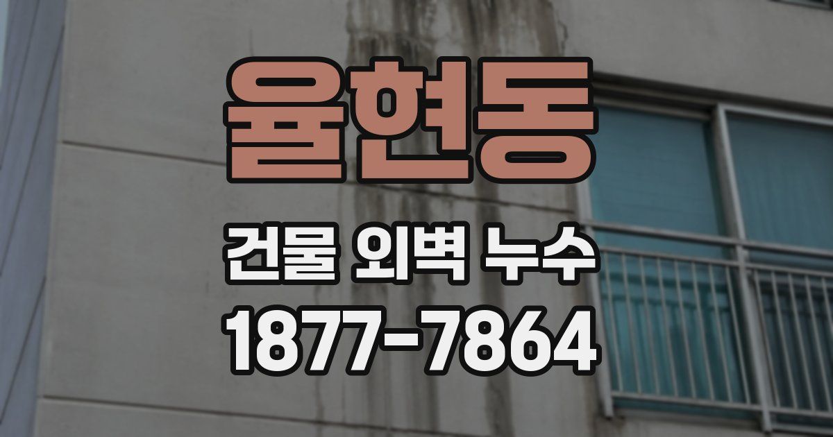율현동 건물 외벽 누수