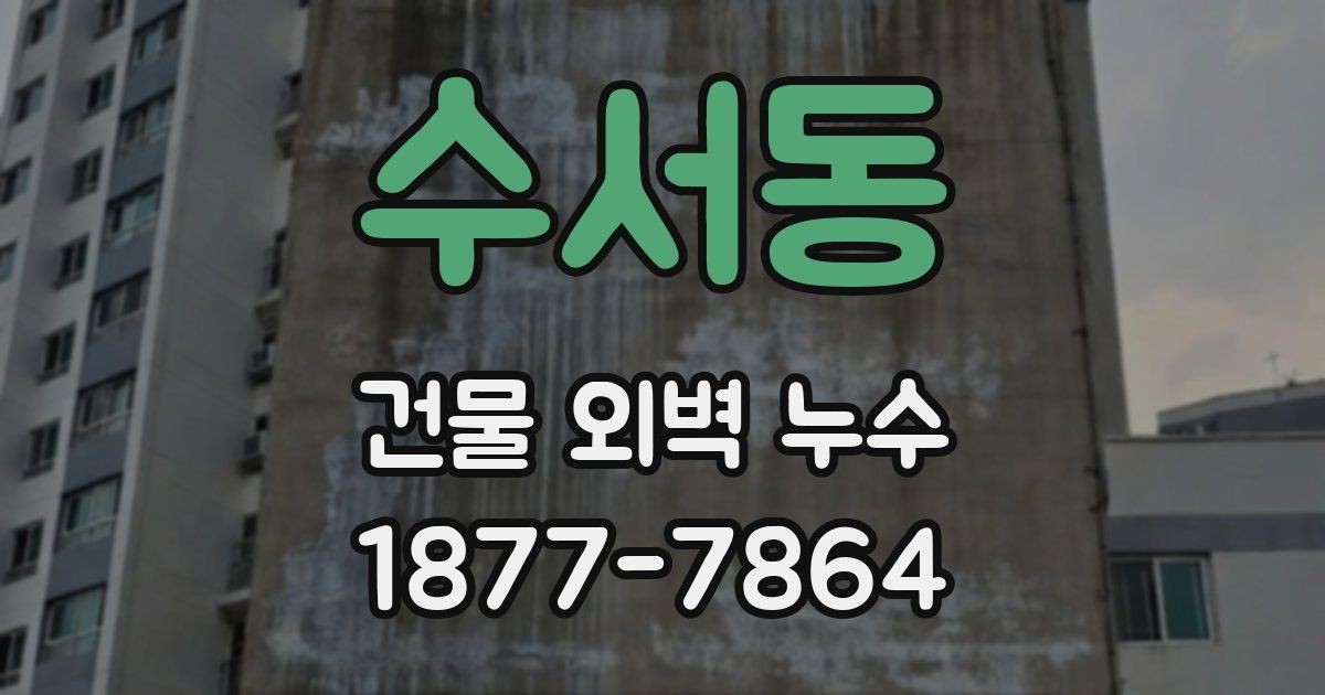 수서동 건물 외벽 누수