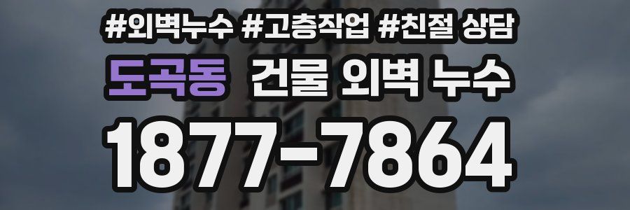 도곡동 건물 외벽 누수