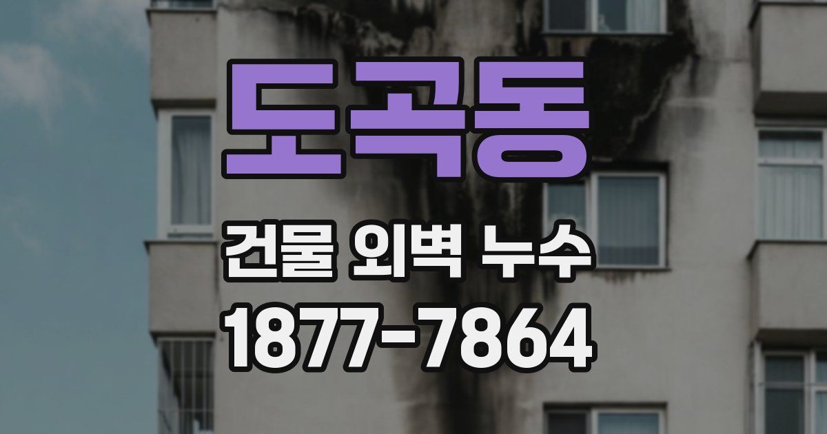 도곡동 건물 외벽 누수