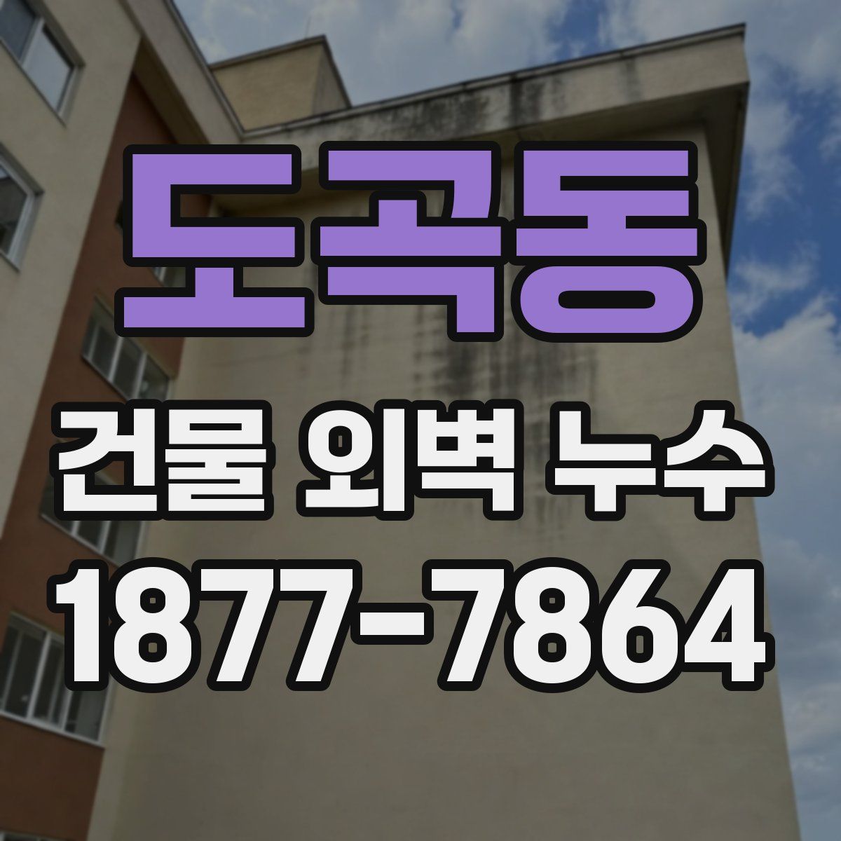도곡동 건물 외벽 누수