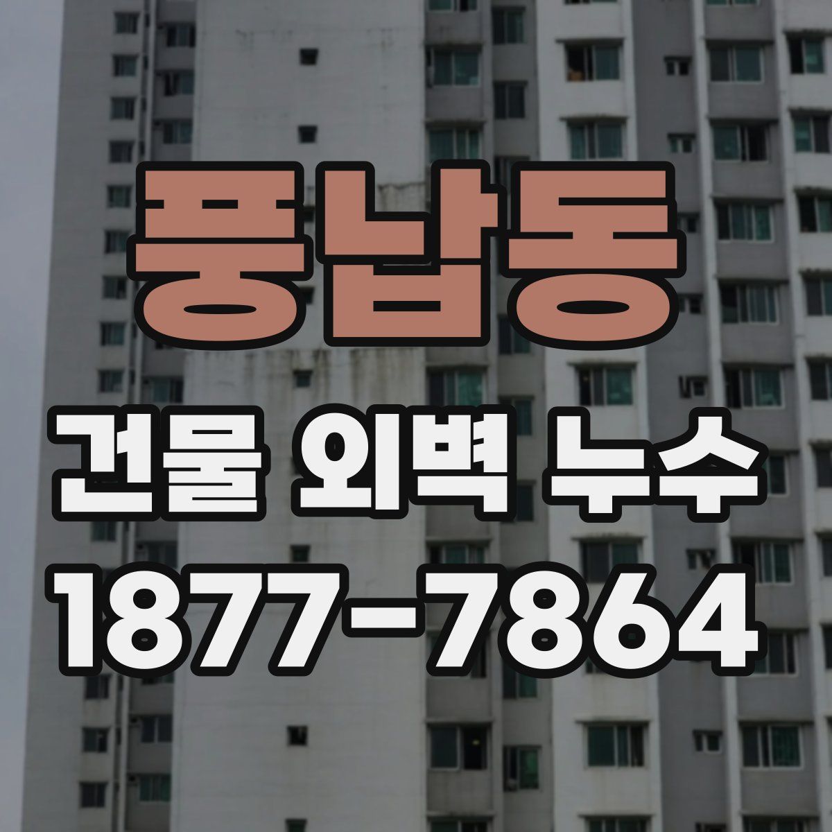 풍납동 건물 외벽 누수