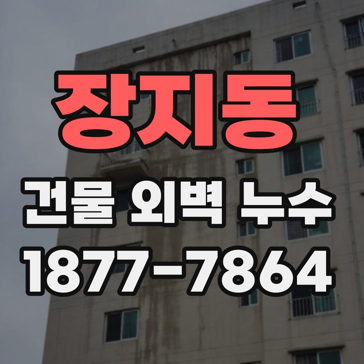 장지동 건물 외벽 누수