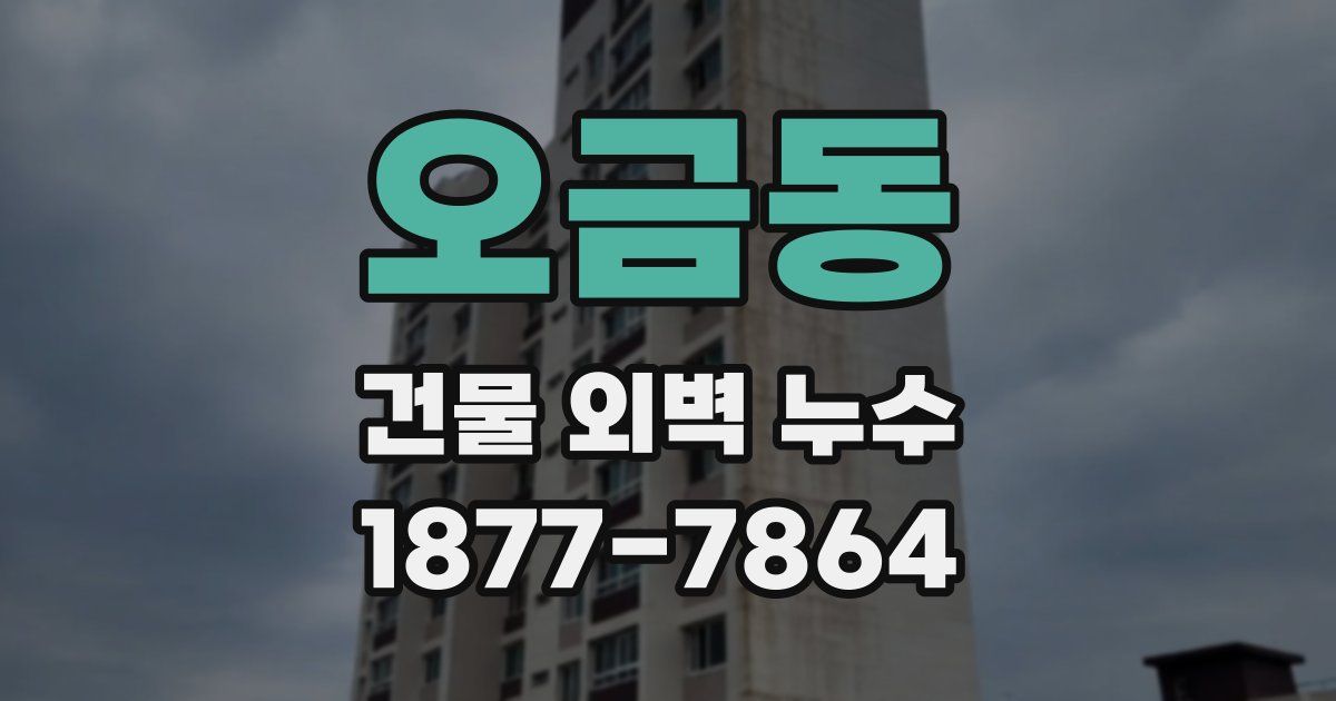 오금동 건물 외벽 누수