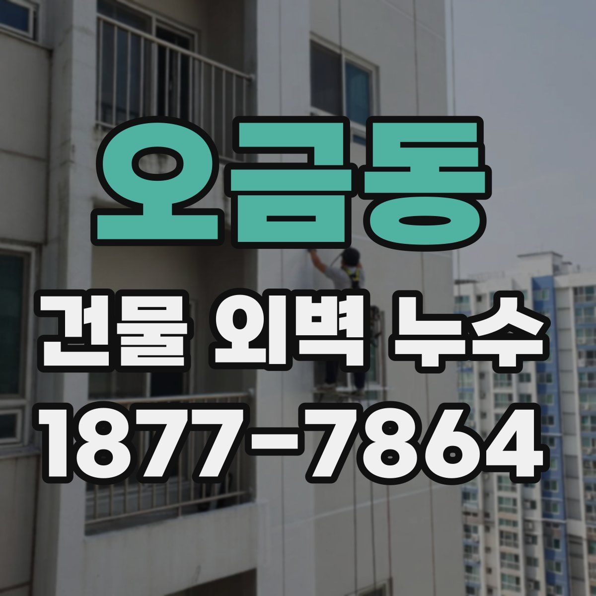 오금동 건물 외벽 누수