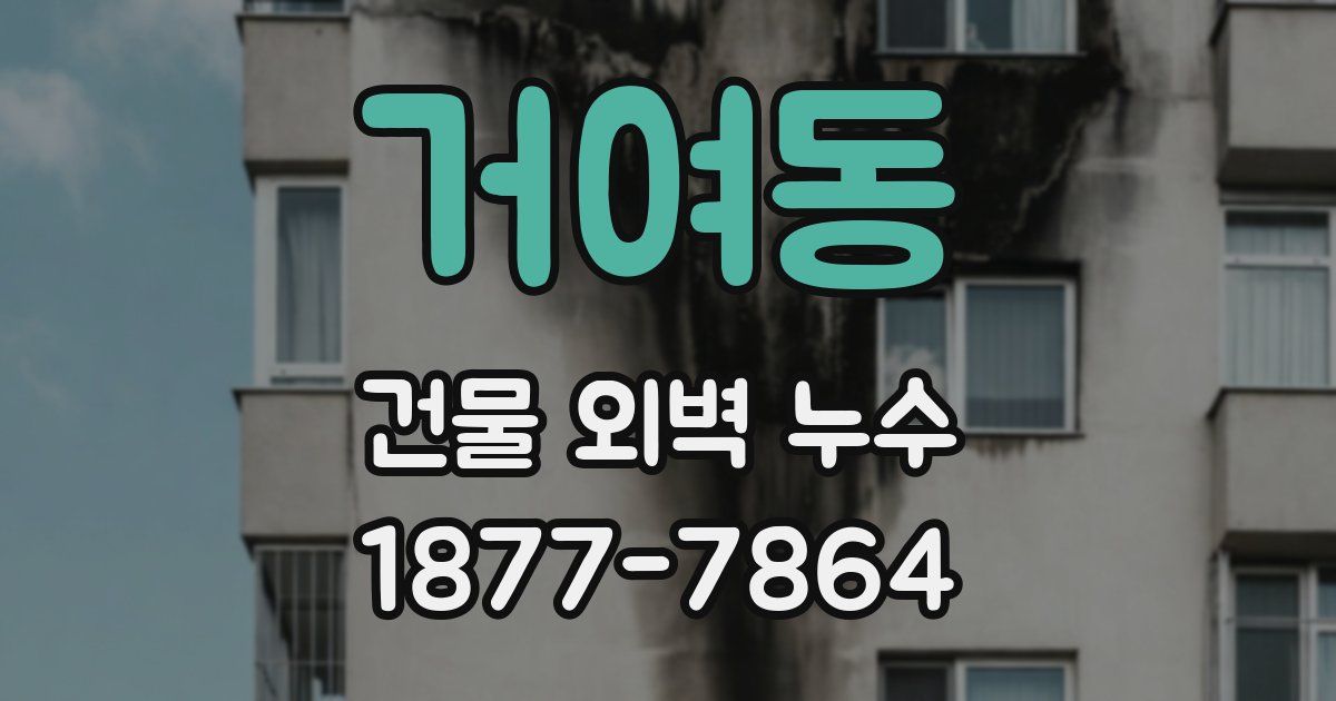 거여동 건물 외벽 누수
