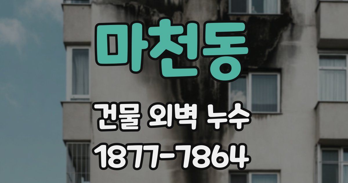 마천동 건물 외벽 누수