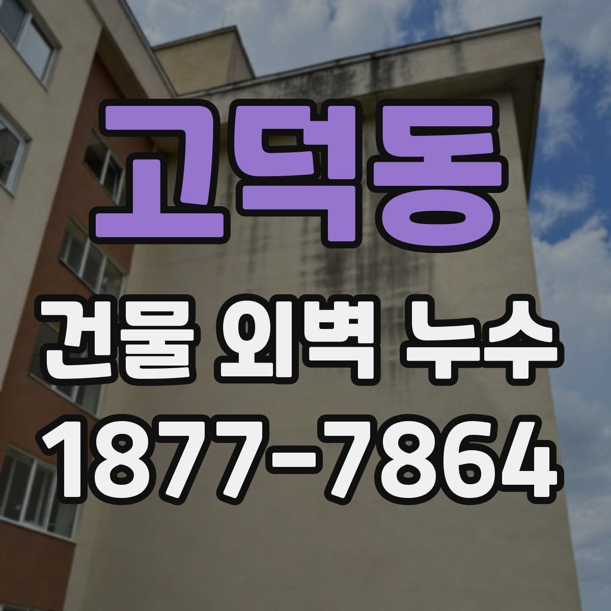 고덕동 건물 외벽 누수