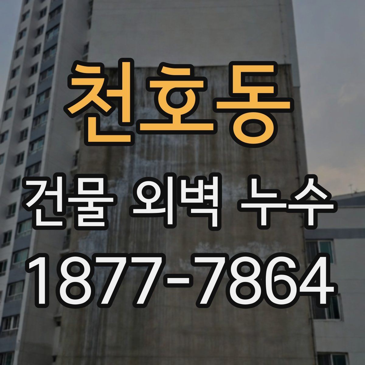 천호동 건물 외벽 누수 공사 범위는 어떻게 정할까