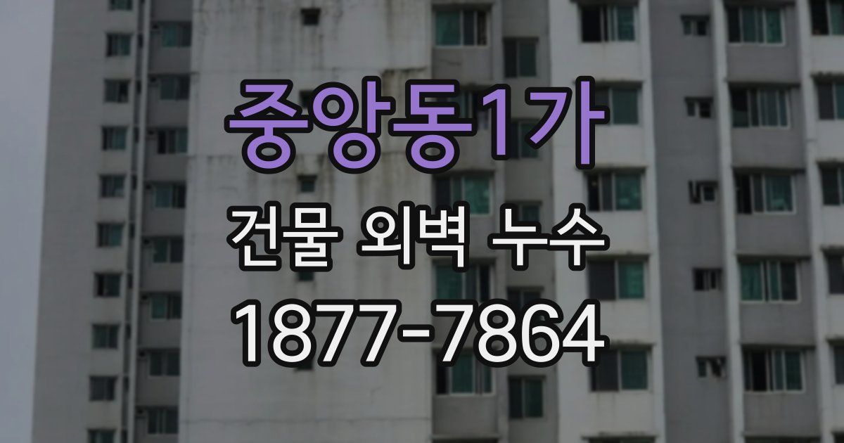 중앙동1가 건물 외벽 누수