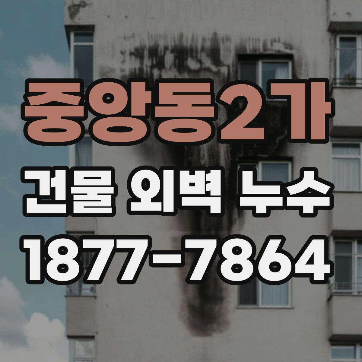 중앙동2가 건물 외벽 누수