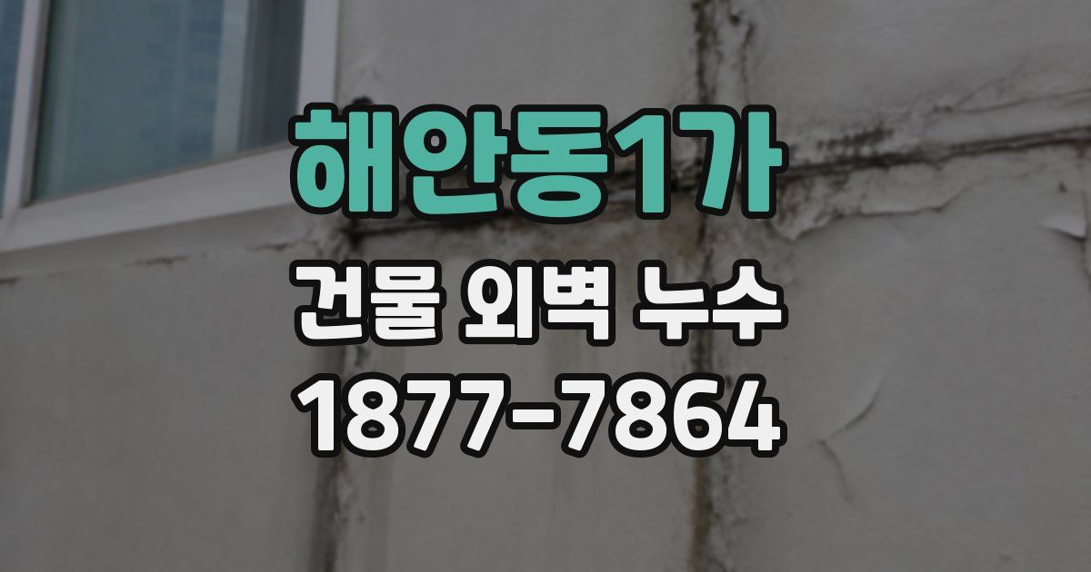 해안동1가 건물 외벽 누수