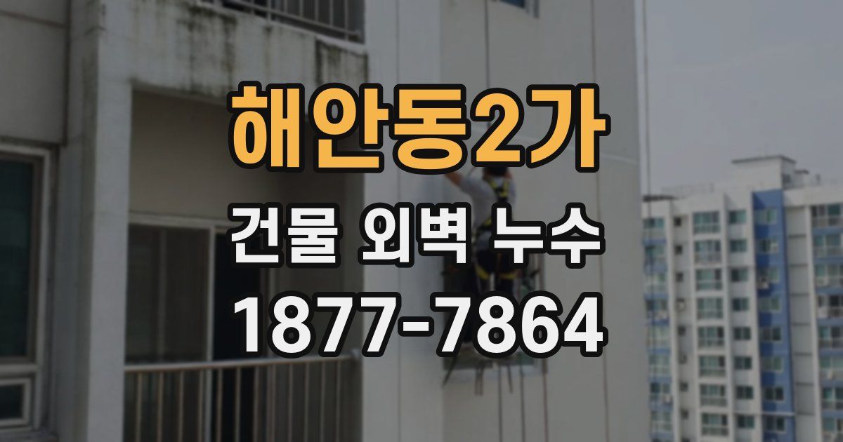 해안동2가 건물 외벽 누수