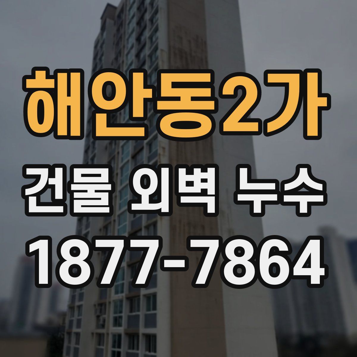 해안동2가 건물 외벽 누수
