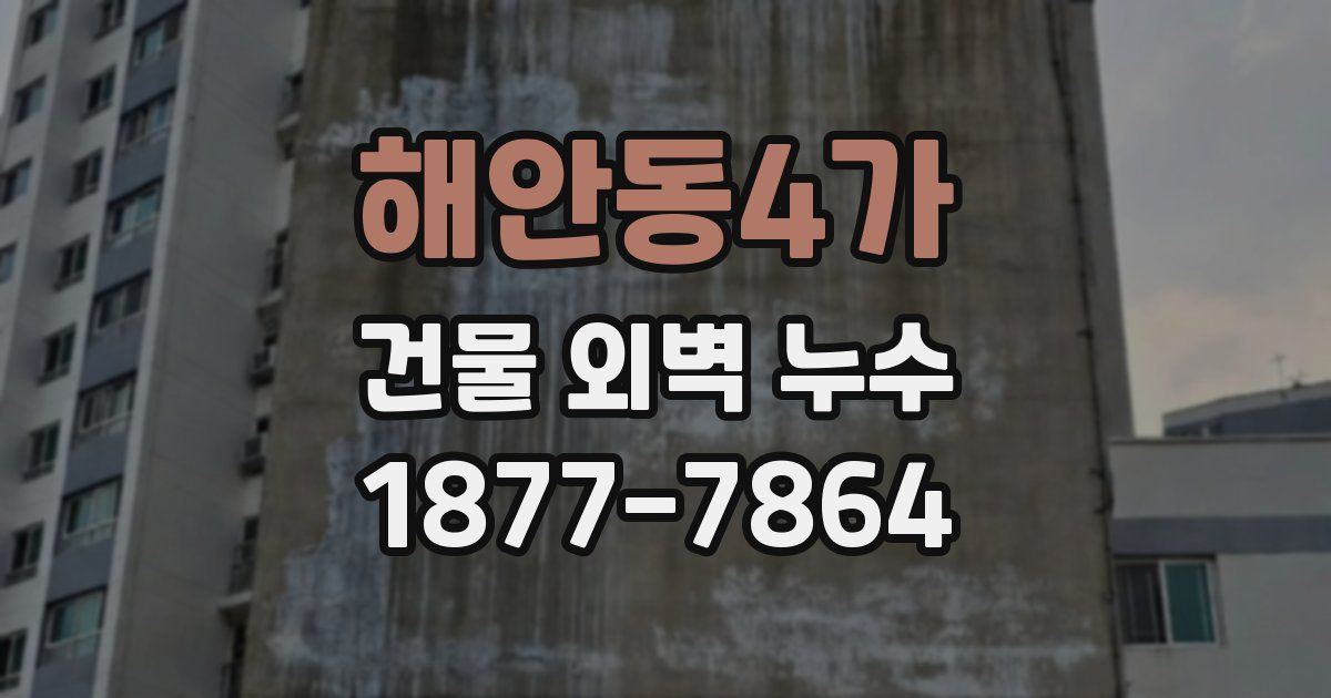 해안동4가 건물 외벽 누수