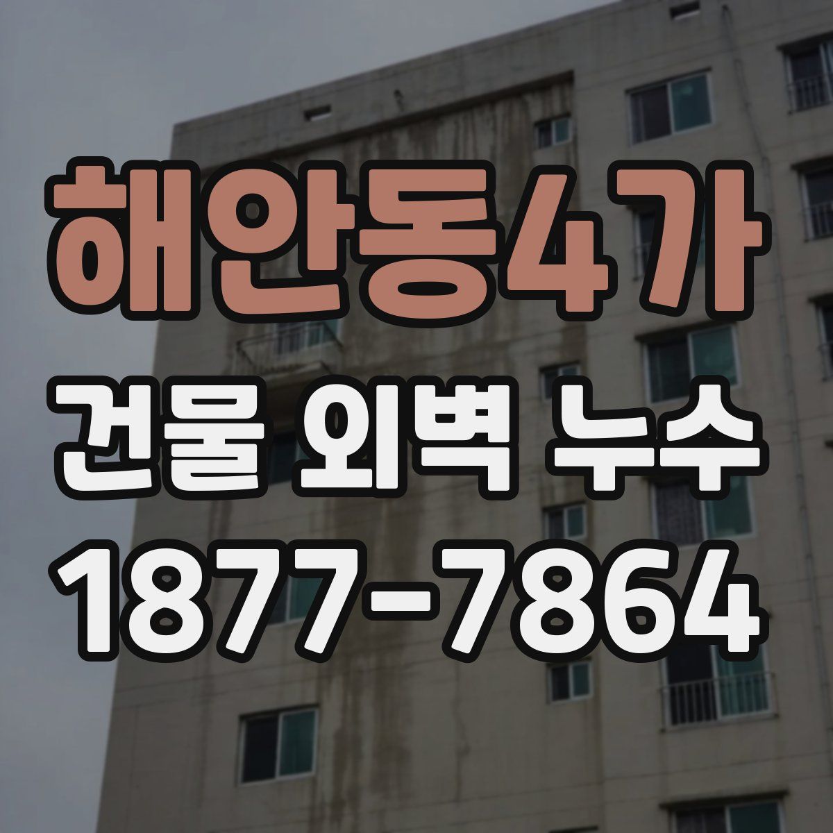 해안동4가 건물 외벽 누수
