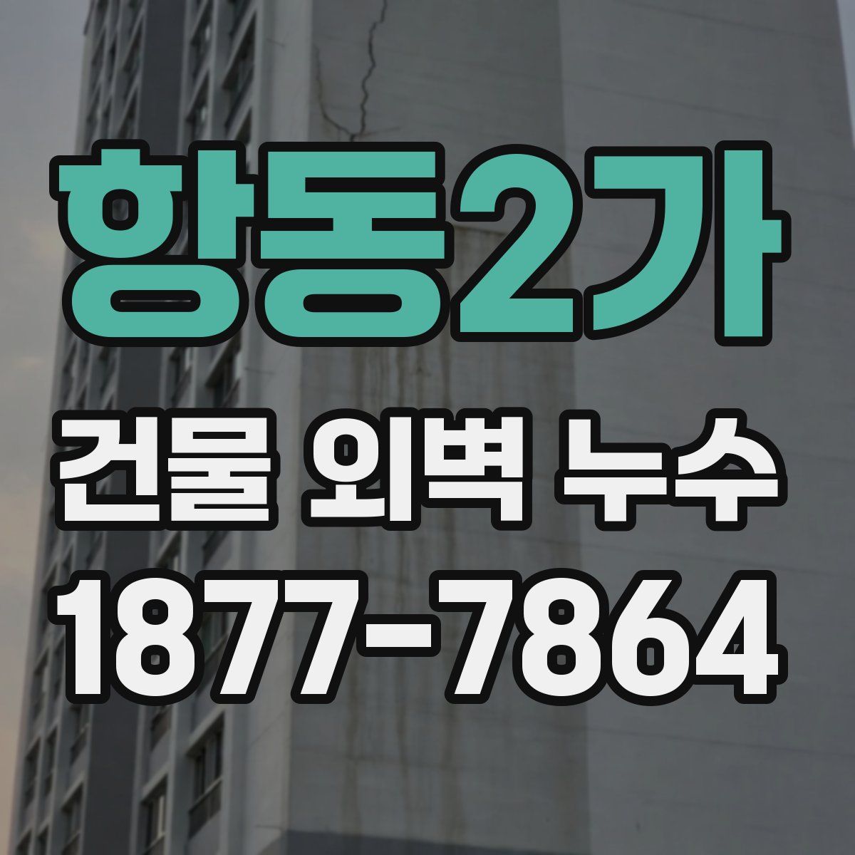 항동2가 건물 외벽 누수