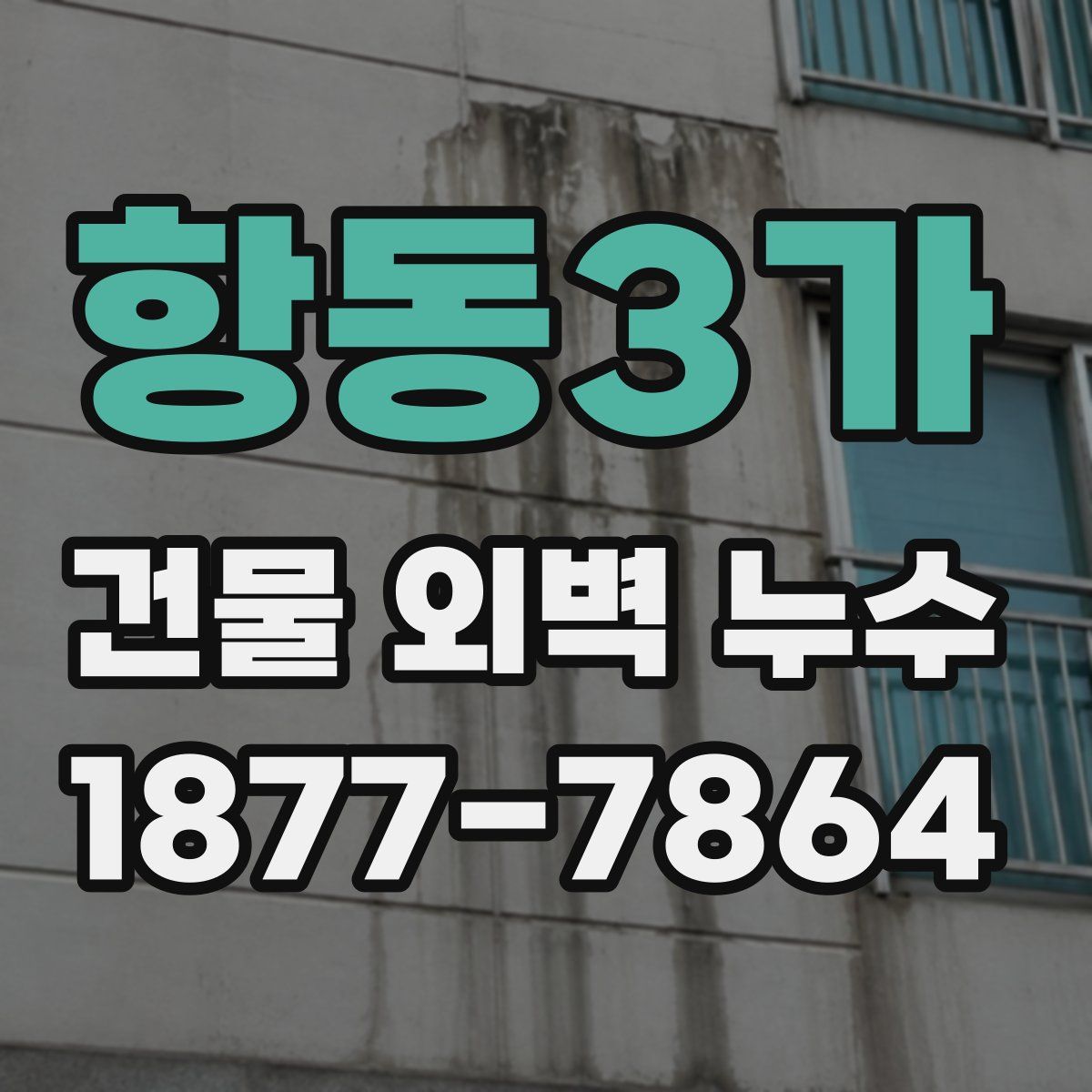 항동3가 건물 외벽 누수