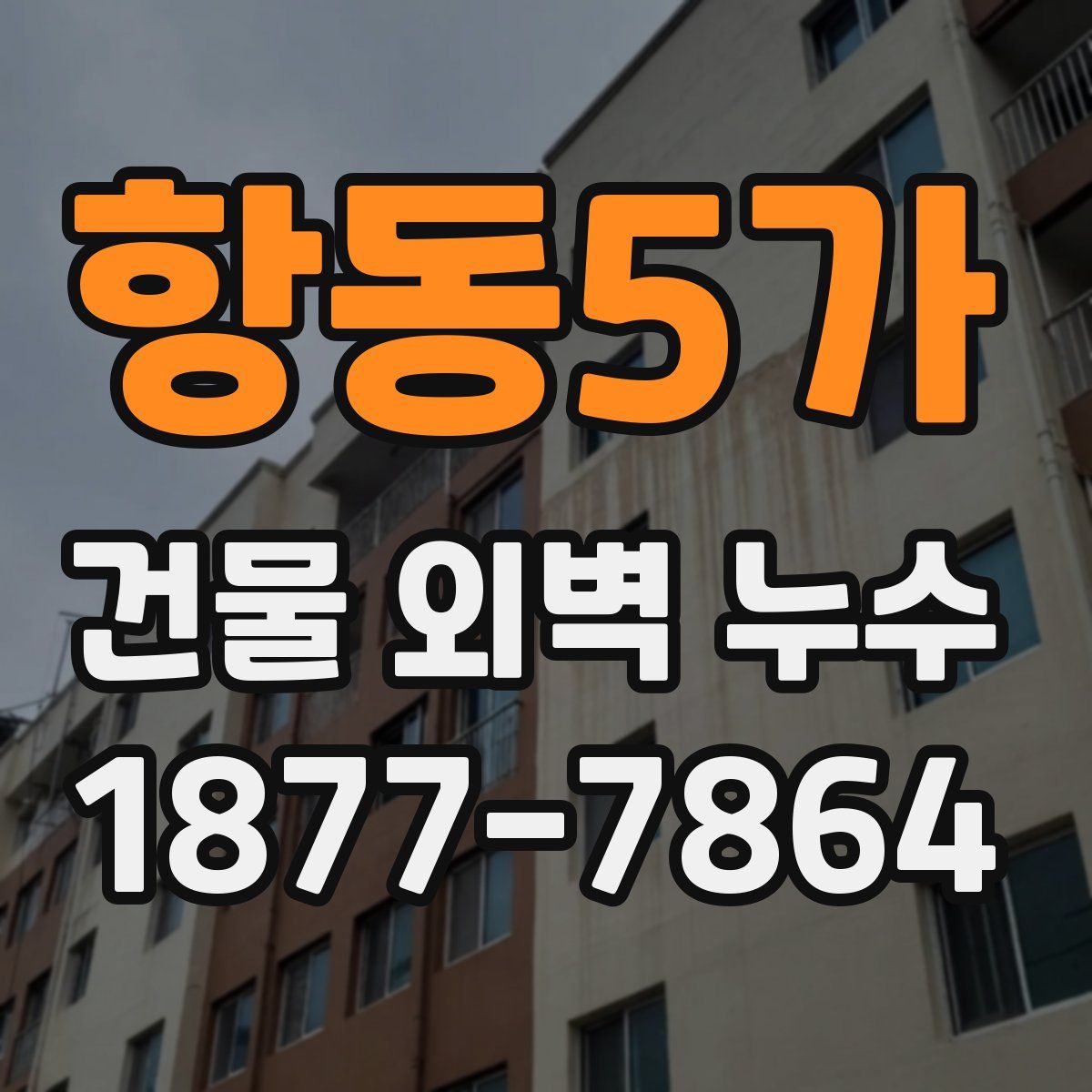 항동5가 건물 외벽 누수