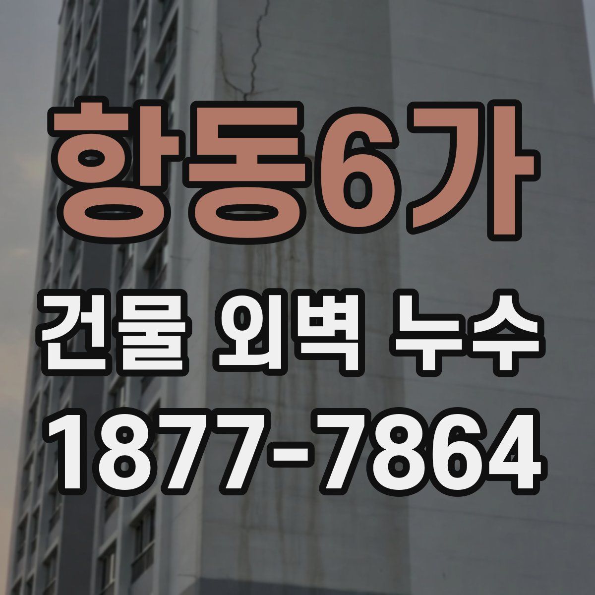 항동6가 건물 외벽 누수