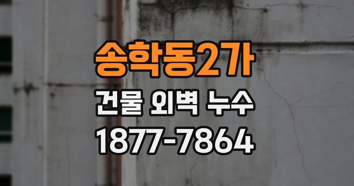 송학동2가 건물 외벽 누수