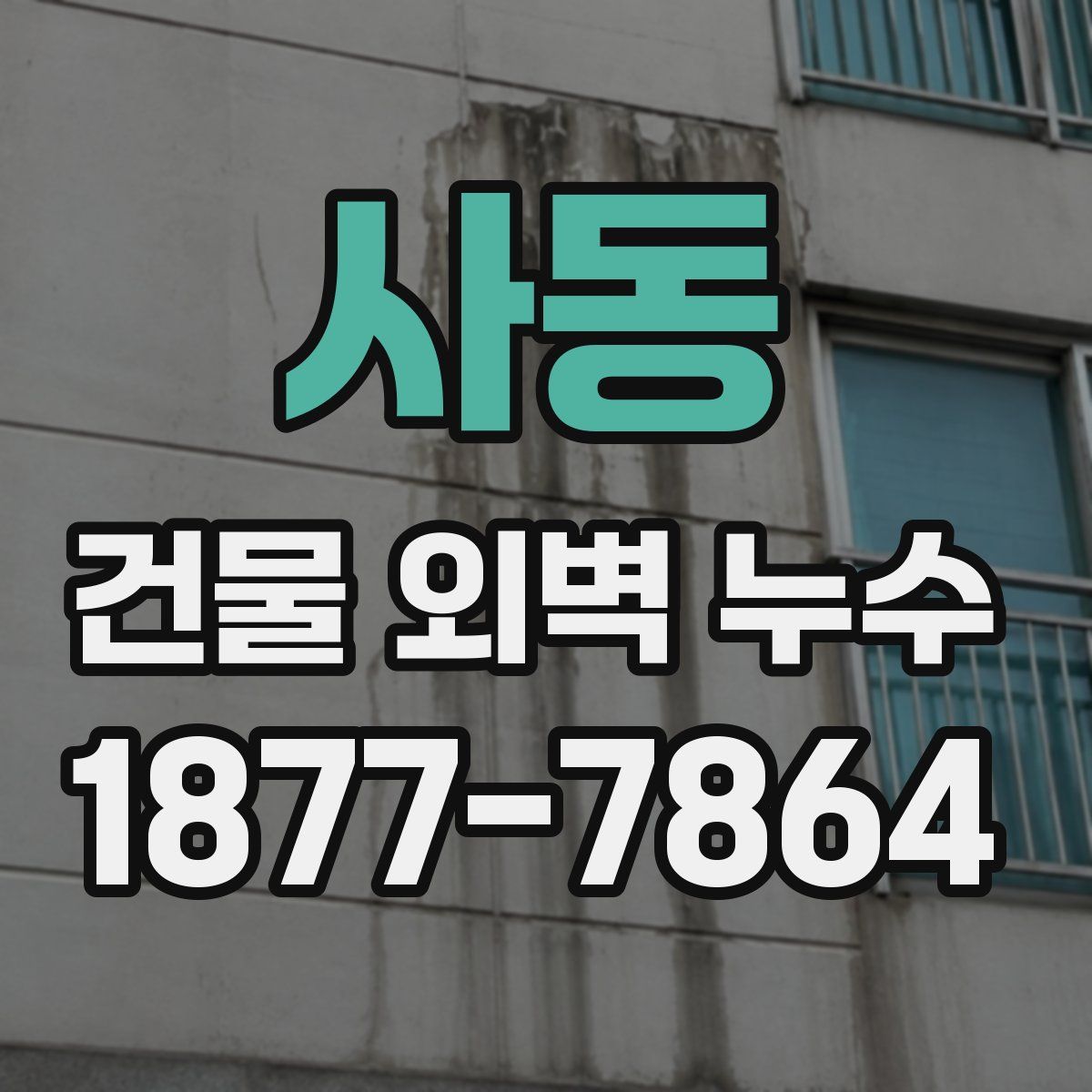 사동 건물 외벽 누수