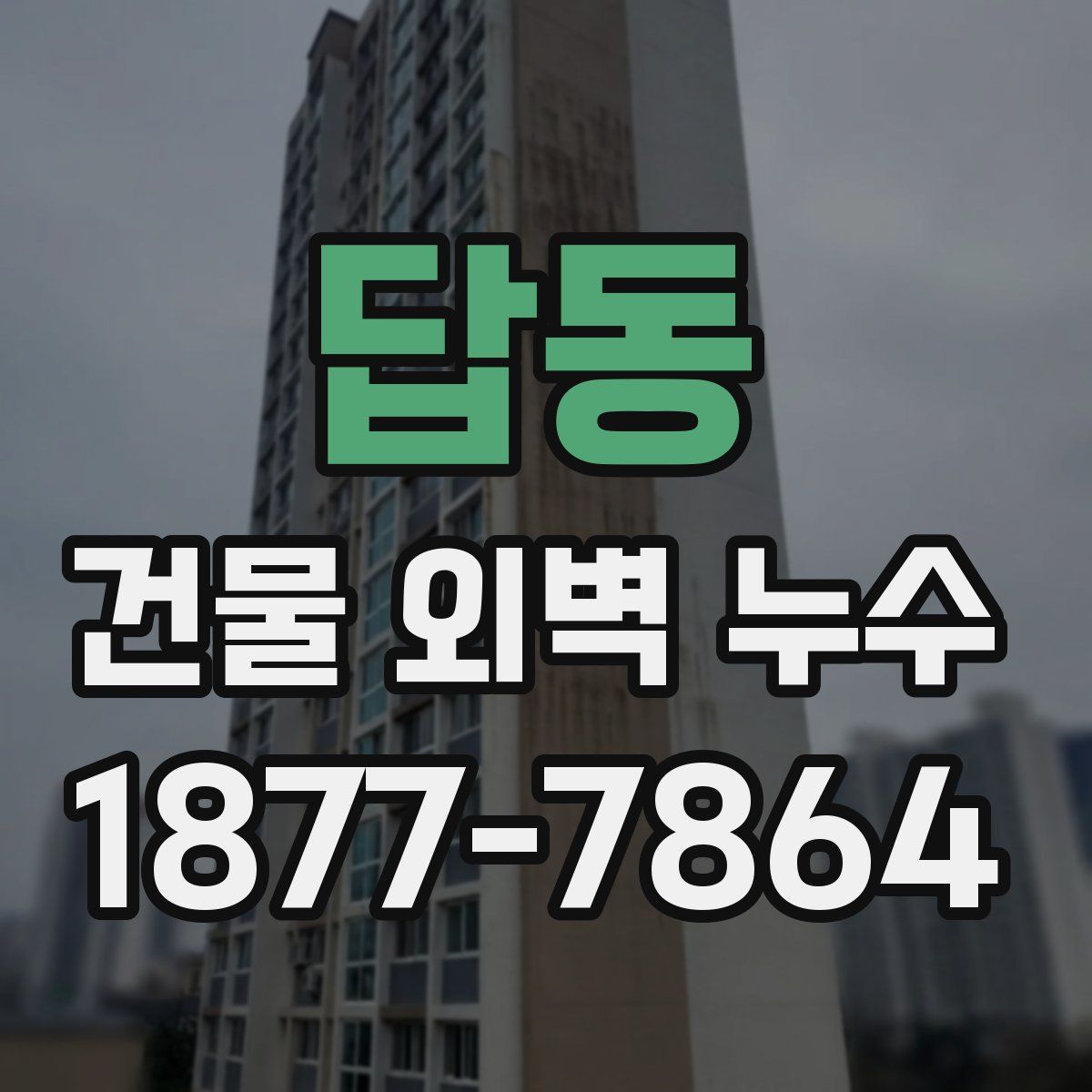 답동 건물 외벽 누수
