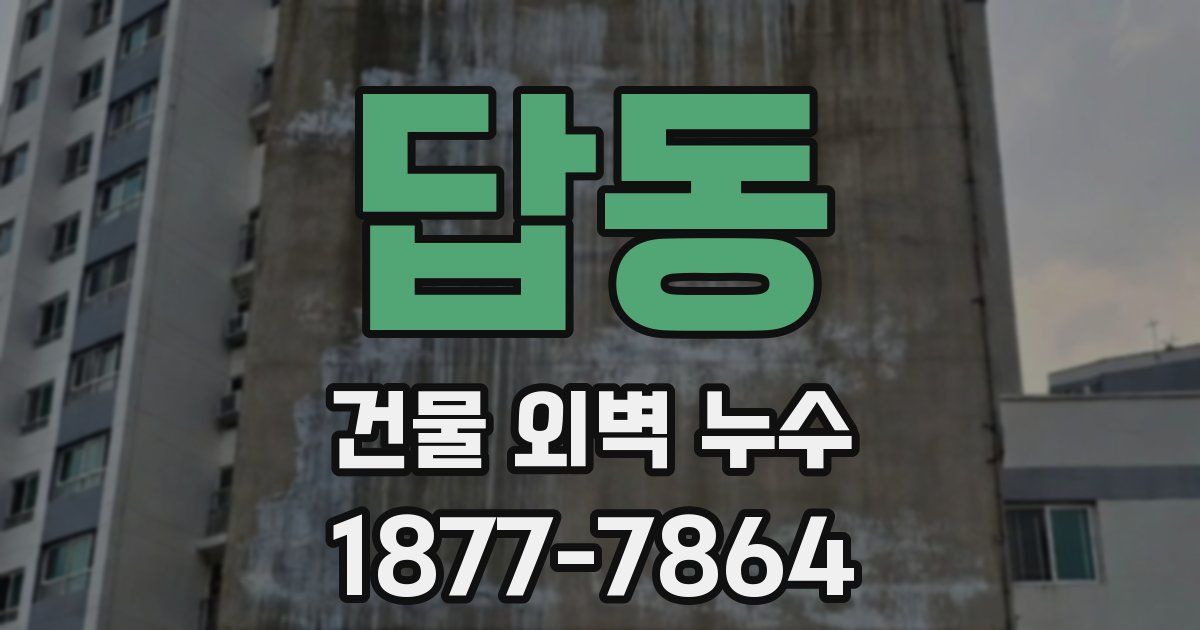 답동 건물 외벽 누수