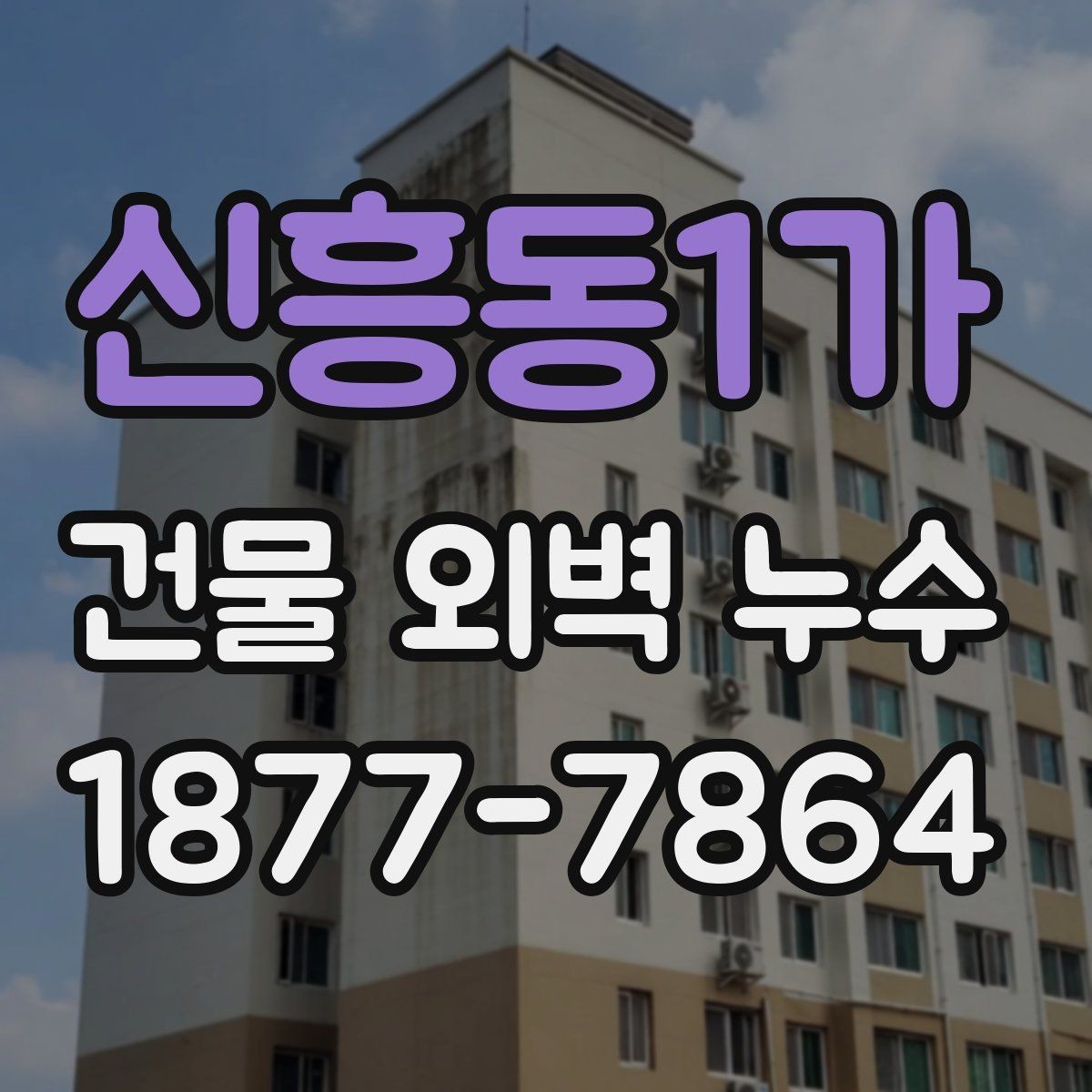 신흥동1가 건물 외벽 누수 점검 시 자주 놓치는 부분