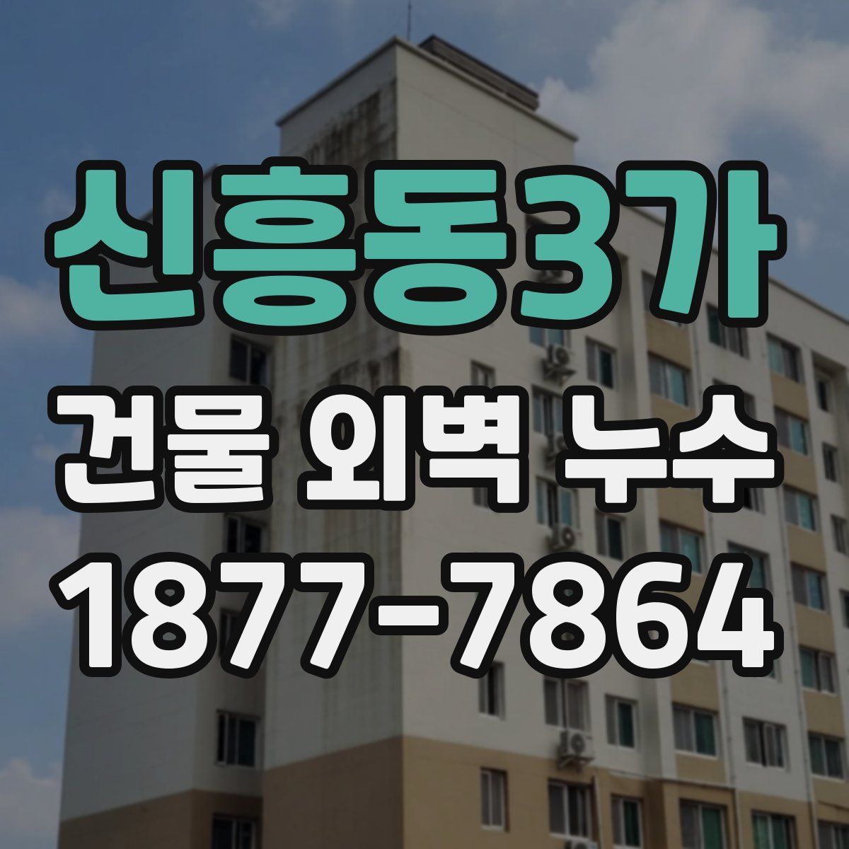 신흥동3가 건물 외벽 누수
