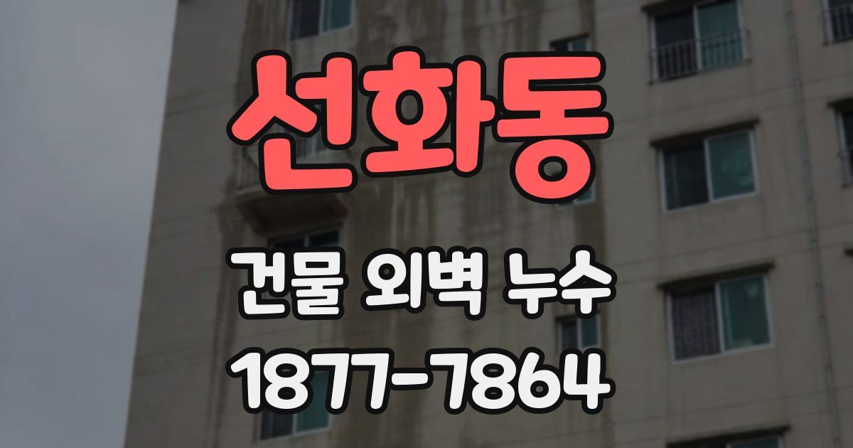 선화동 건물 외벽 누수