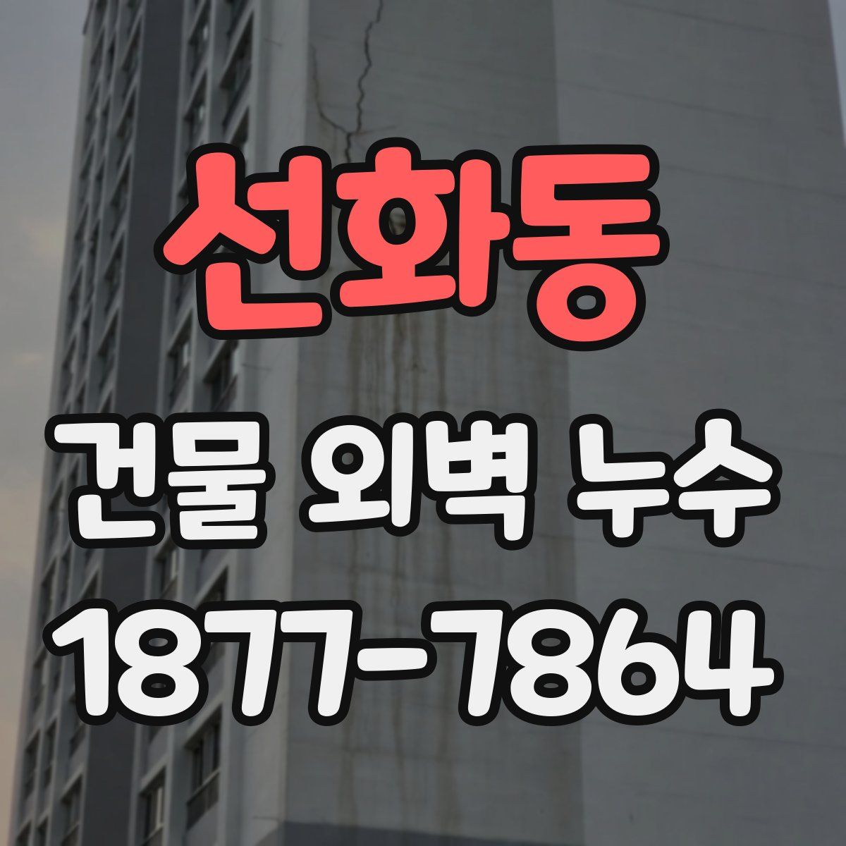 선화동 건물 외벽 누수