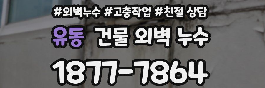유동 건물 외벽 누수
